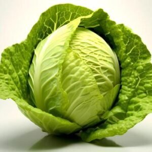 Cabbage